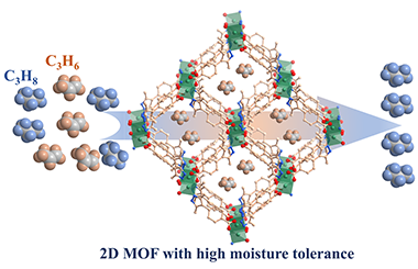 Robust microporous metal-organic framework with high moisture tolerance for efficient separation of propylene from propane 2022.100004